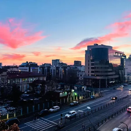 Cozy Victoriei Square *